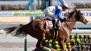 【せきれい賞展望】盛岡芝2400mでこそ輝くのはどの馬か!?/NARレース展望