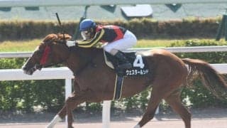 ダートGIIIエルムS＆レパードSに注目/今週の競馬界の見どころ