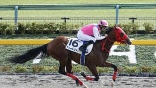 【レパードS見どころ】重賞2着のデュードヴァンが人気の中心