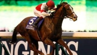 【JRA】今年からジャパンCは第12レースで施行