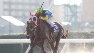 【湾岸スターC枠順確定】エムエスオープンは8枠9番、インザフューチャーは4枠4番