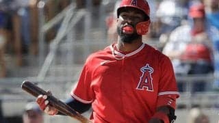 【MLB】エンゼルス超有望株アデルがメジャー昇格へ　右腕検査・大谷のアップデートはここまでなし