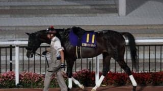 【レパードS展望】夏の3歳ダート重賞、あの馬の巻き返しを期待