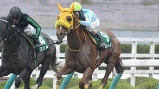 【エルムS出走馬決定順】フルゲート14頭にウェスタールンドら17頭の登録　2頭は札幌日経OPにも登録