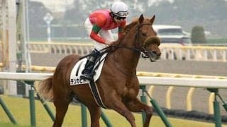 【門別競馬情報】史上初「シーズン500億円」突破も!? 好調続く門別ナイター、今夜メイン12Rは伸び盛りの3歳2騎に注目「登別地獄まつり特別」/地方競馬情報