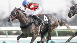【次走】オークス3着ウインマイティーは紫苑Sで始動予定
