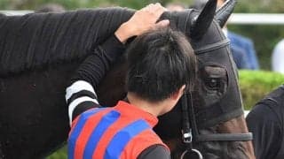 【先週のJRA抹消馬】淀短距離S覇者ナインテイルズ、ルミエールAD覇者レジーナフォルテなど