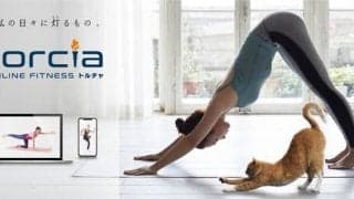ライブでレッスンを配信！オンラインフィットネス「torcia」スタート…ティップネス