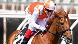 【海外競馬】豪G1コックスプレートの登録馬182頭が発表、日本馬は登録なし