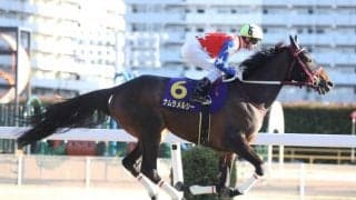 【ブリーダーズGC出走予定馬】アッキー回避、ナムラメルシーの騎乗予定騎手が発表