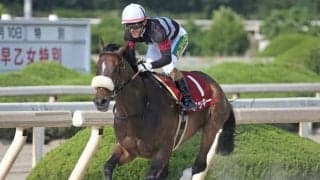 【ブリーダーズGC出走予定馬】アッキー・ナンヨーオボロヅキが繰り上がり