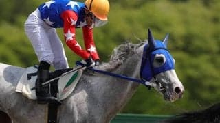 馬にも“年金制度を”競走馬年金の構築に向けて…