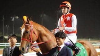 【盛岡・クラスターC】JRA出走予定馬