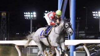 【門別・ブリーダーズゴールドC】JRA出走予定馬