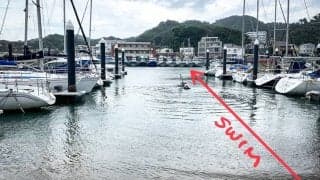 連載第24回 空飛ぶ日記「フォイリング天国はどこにある？」