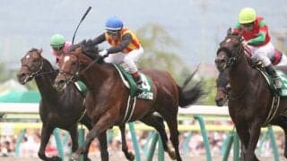 メドウラークが競走馬登録抹消
