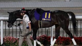 【レパードS予想】ミヤジコクオウの巻き返しに期待/JRAレース展望