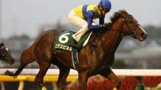 【本日の注目ポイント】新潟でレパードS、札幌ではエルムS