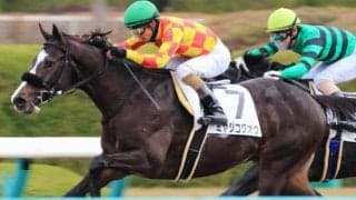 【レパードS予想】実績上位馬2頭と良血ラインベックの戦いに注目!!/JRAレース展望