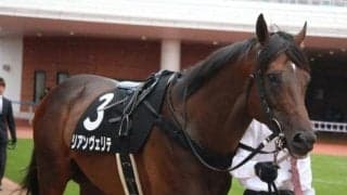 【エルムS予想】逃げると強いリアンヴェリテ、56kgで巻き返しへ/JRAレース展望