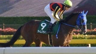 【エルムS前日オッズ】タイムフライヤーが4.1倍で1番人気