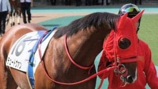 【レパードS前日オッズ】デュードヴァンが3.4倍で1番人気