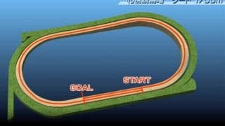 【エルムS コース解説】平坦かつコーナー4回の競馬で先行有利