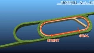 【レパードS コース解説】直線とキツいコーナーで構成されているコース