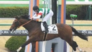 【レパードS ゴールデンコンビ】「直近1年」の複勝率56.3％！「高野友和厩舎×岩田望来騎手」のライトウォーリア