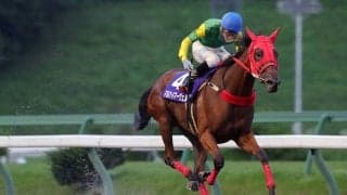 【盛岡・ひまわり賞】2番人気のマルケイマーヴェル号が優勝