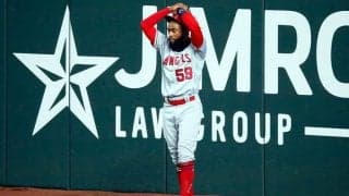 【MLB】大谷同僚が“本塁打”アシスト　本人も頭抱える珍守備に米笑撃「最高の“おっとっと”」