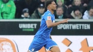 ホッフェンハイムのブラジル人DFルーカス・リベイロがインテルナシオナルへ1年半レンタル