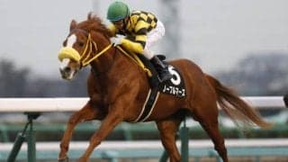 【小倉記念 出走馬決定順】4頭が自己条件、ブレスジャーニーが阿蘇Sにも登録