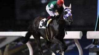 【橘OP】ブラックジョーが逃げ切って完勝！ これで転入後3戦2勝