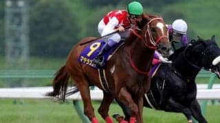 【盛岡・クラスターC結果】マテラスカイがゴール前で抜け出し日本レコードでV