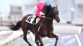 【シャイニングヒーロー賞】トゥザワールド産駒ヴァヴィロフが5馬身差圧勝！ 桜井光輔騎手「この先重賞でも」