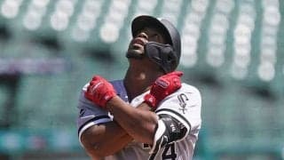 【MLB】野球ネットの“ハンモック化”…ケガのリスク指摘に選手が反論「ただ懸命にプレーを」