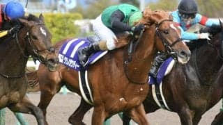 【関屋記念前日オッズ】重賞初V狙うクリノガウディーが3.0倍で1番人気