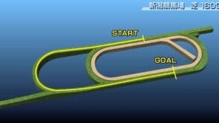 【関屋記念 コース解説】658.7mの直線で究極の瞬発力勝負が繰り広げられる