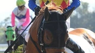 【JRA】栗東トレセン火災の影響受け日曜出走予定の6頭が出走取消、死亡馬2頭含む