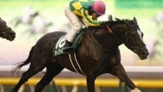 【関屋記念予想】新潟マイルが合いそうなサトノアーサーに期待