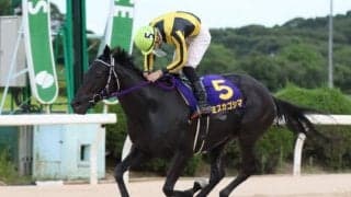 【ロータスクラウン賞予想】古馬重賞制覇のミスカゴシマ ふたたび3歳重賞で輝く/NARレース展望