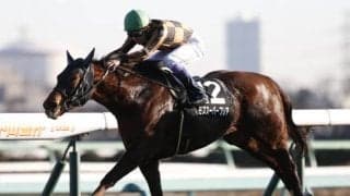 【北九州記念見どころ】高松宮記念覇者モズスーパーフレアが登場