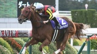 【札幌記念見どころ】GI・3勝のラッキーライラックが人気の中心
