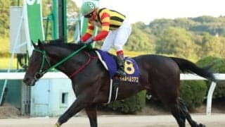 【佐賀・ロータスクラウン賞結果】高知のマイネルヘルツアスが競り合いから抜け出す