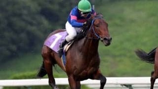 【盛岡・若鮎賞結果】エキストラエンド産駒マツリダスティールがデビュー2連勝