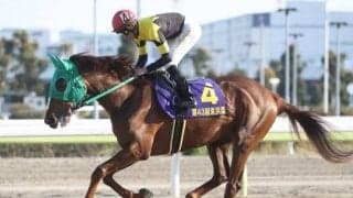 【大井・黒潮盃】JDD4着のブラヴールなど好メンバーの一戦/レースの見どころ(地方競馬)