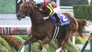 【札幌記念】フルゲート16頭にラッキーライラックら13頭の登録/出走馬決定順