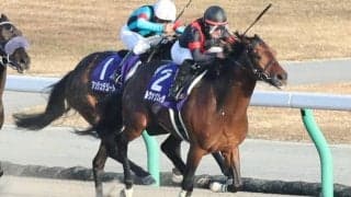 ルヴァンスレーヴが現役引退… 種牡馬入りへ