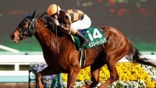 【北九州記念】フルゲート18頭に22頭、3頭はNST賞にも登録/出走馬決定順